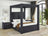 Jayla Canopy Bed Black