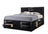 Emily Captains Bed Black