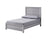 Adelaide Bed Drift Wood