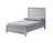 Adelaide Uph Bed Drift Wood
