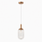 Dover Pendant Lamp - Bronze and Clear