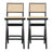 Keira Rattan Bar Stool (Set of 2)