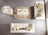 Anica Ivory Coffee Table