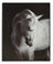 Ashley A8000409 - Wall Art