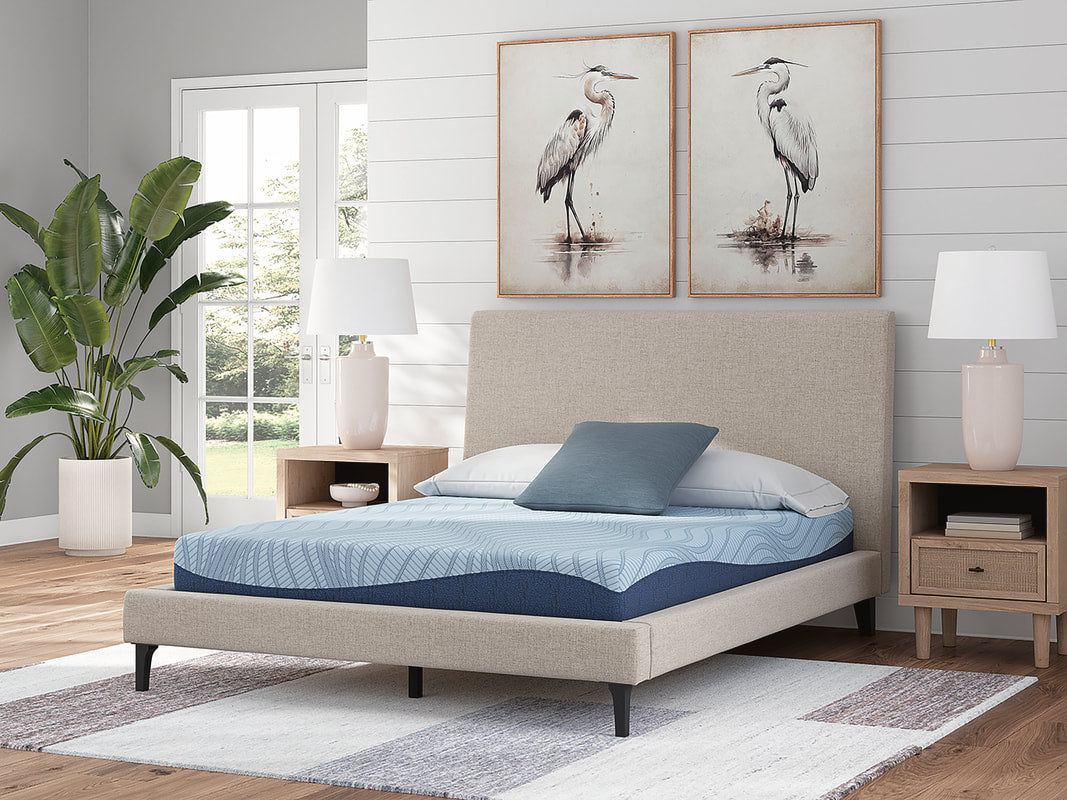 M204 - 8" Memory Foam (Firm) - Twin, Full