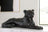 Ashley A2000419 - Accent Sculpture