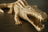 Ashley A2000765 - Sculpture
