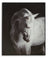 Ashley A8000409 - Wall Art